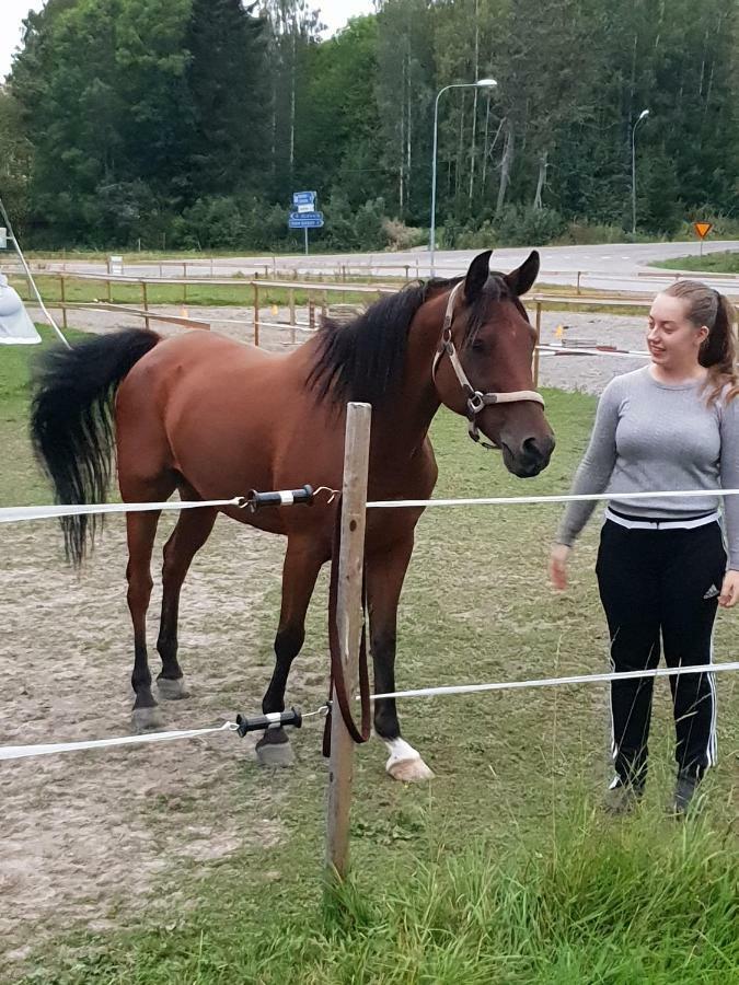 Myskje Gard Gastgiveri Soderala Kültér fotó